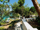 Korcula charming stone house by the sea – the house is surrounded by wonderful Mediterranean vegetation